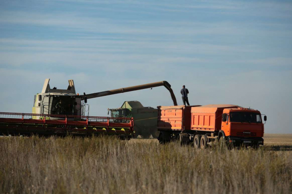 Ход приемки нового урожая зерновых и отправки на экспорт рассмотрели в правительстве