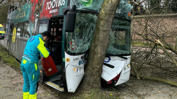 Туристический автобус врезался в дерево в Брюсселе