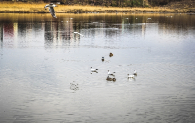 blog image