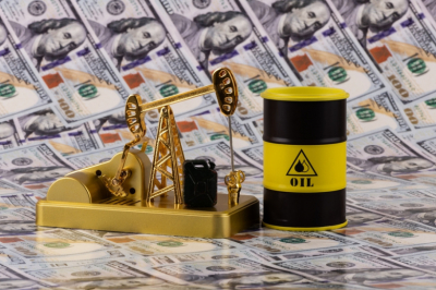 &laquo;Боюсь называть&raquo;: экс-экономист МВФ сделал мрачный прогноз о ценах на нефть