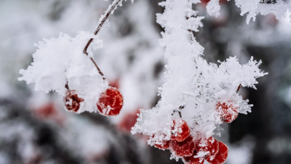 Лютые морозы накроют Татарстан в этот четверг 05/02/2026 &ndash; Новости