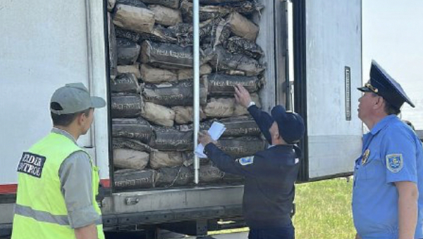 Крупную партию яиц пытались незаконно провезти из России в Казахстан