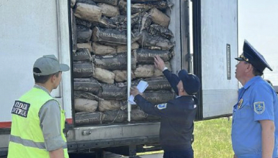 Крупную партию яиц пытались незаконно провезти из России в Казахстан