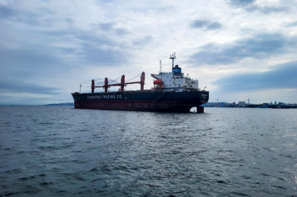 Петербург &ndash; Индия: контейнерные перевозки выросли на 60 %, время в пути сократилось вдвое