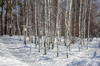 В&nbsp;Татарстан в&nbsp;начале недели вновь придет потепление до&nbsp;плюс 12 градусов