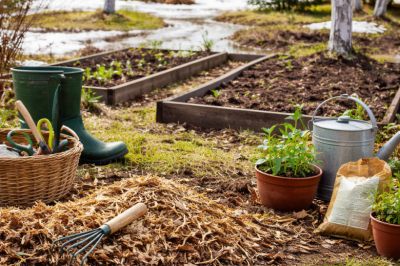 Календарь работ в саду на март &mdash; что важно сделать сразу после схода снега