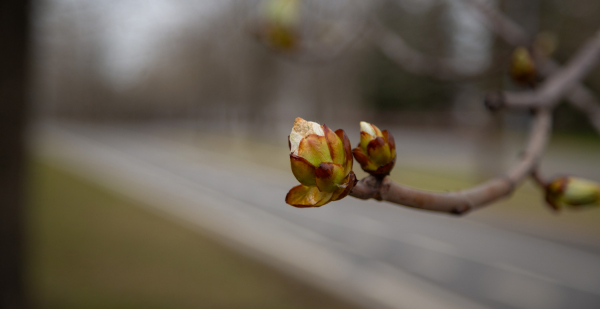 Психолог Абравитова назвала апрель лучшим месяцем для расставания