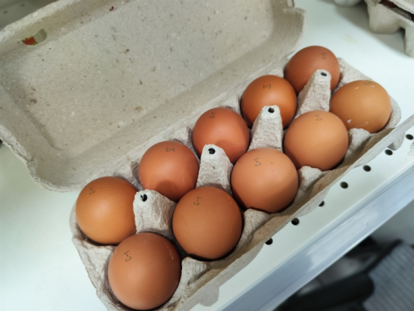 Незадолго до Масленицы цены на яйца в Новосибирске бьют исторический рекорд