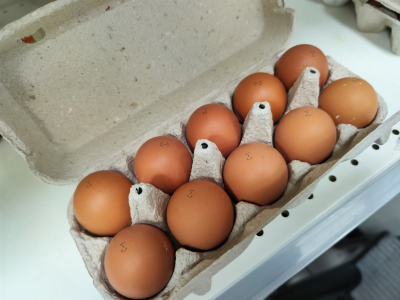 Незадолго до Масленицы цены на яйца в Новосибирске бьют исторический рекорд