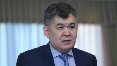 Экс-министр Елжан Биртанов осудил приговор сельской медсестре