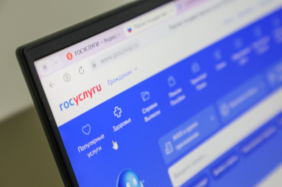 Сенатор объяснил смысл уведомлений о кредитах через &laquo;Госуслуги&raquo;