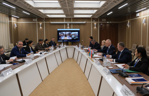 ЕЭК и страны ЕАЭС расширяют сотрудничество в сфере антимонопольного регулирования