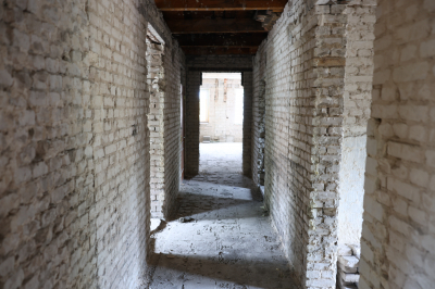 blog image