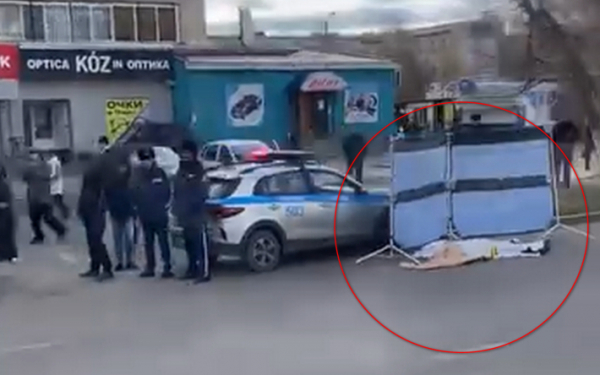 17-летнего пешехода насмерть сбила машина