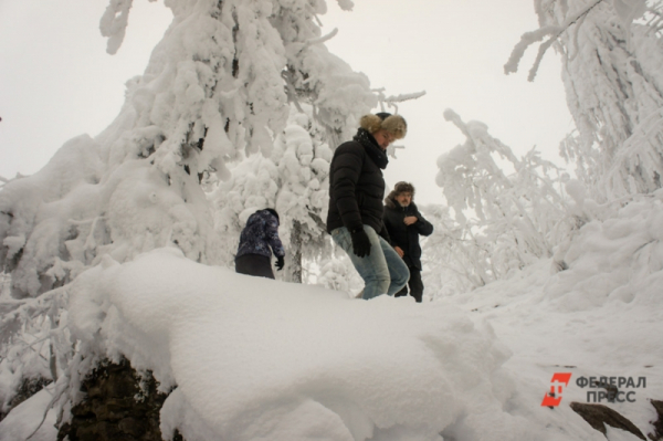 Что говорят следователи о пропаже сибиряка в &laquo;Красноярских Столбах&raquo;