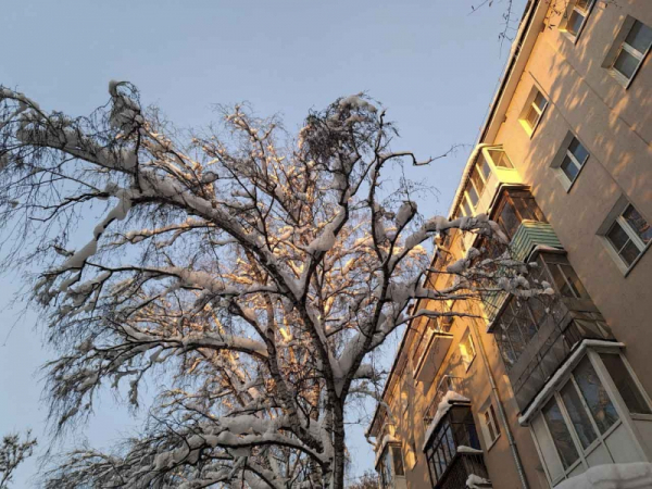 Резкое потепление ожидается в Рязани после сильных морозов