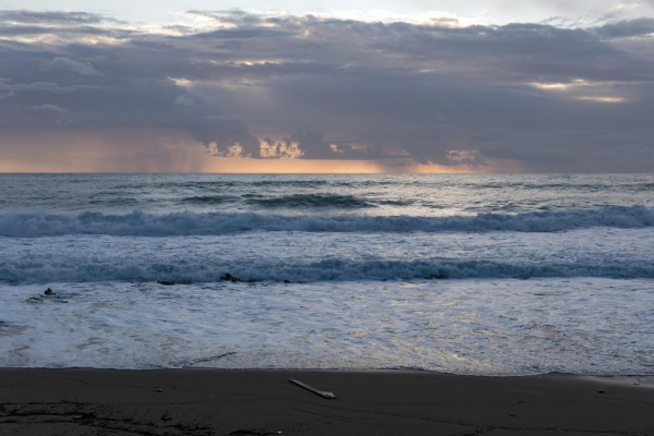 The Sun: в США отец погиб, спасая детей из воды во время отпуска