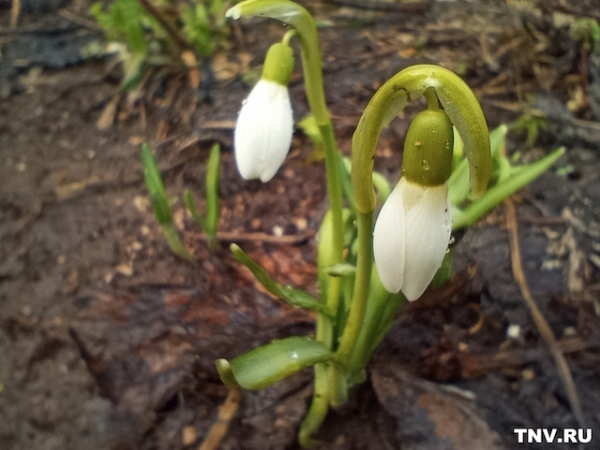 До +14 градусов: стало известно, где на выходных ожидается самая теплая погода