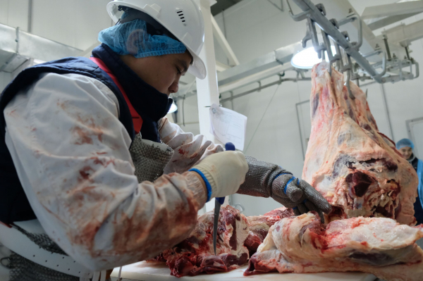 Стейк из обещаний средней прожарки