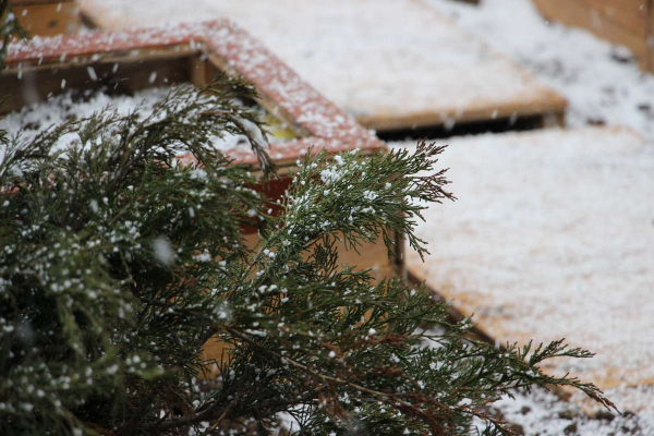 Метель ожидается на севере Казахстана