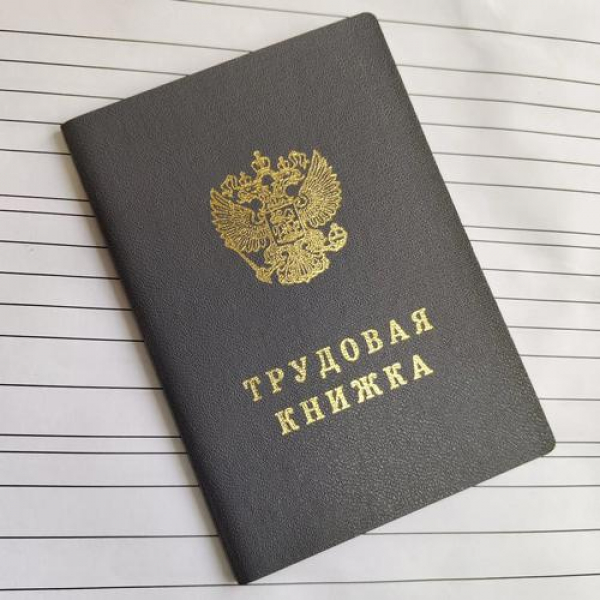 Эксперты РАН призвали упростить наём мигрантов: Россия не справится без них в ближайшие годы
