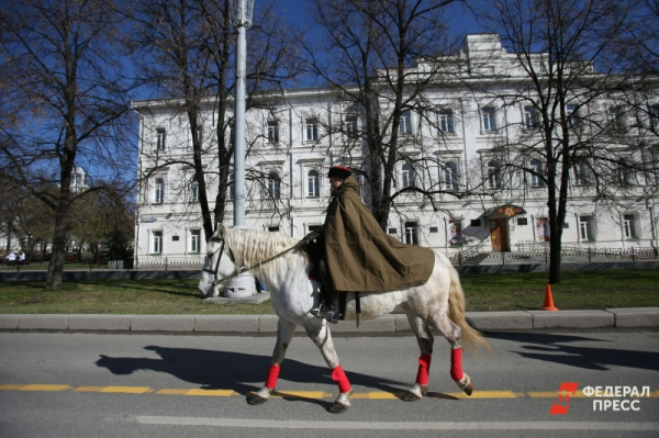 Мэрия Екатеринбурга готовится изъять лошадей у &laquo;покатушечников&raquo; с Плотинки