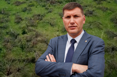 Суд назначил повторную экспертизу по&nbsp;делу&nbsp;об&nbsp;охранном статусе парка усадьбы Нарышкиных&nbsp;&mdash; Паулуччи