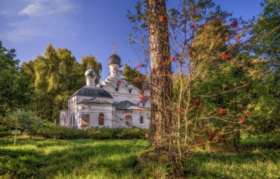 blog image