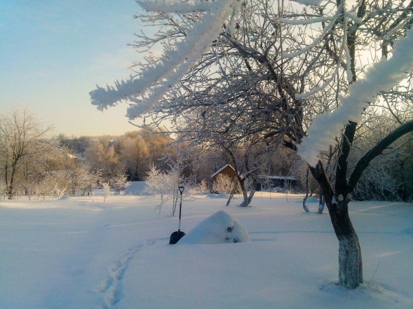 Травматолог Гордеев назвал главную опасность катания на надувных тюбингах