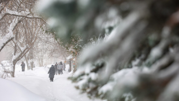 Улучшение не ждите: Госавтоинспекция РТ предупредила о сильной метели и гололедице 29/01/2026 &ndash; Новости