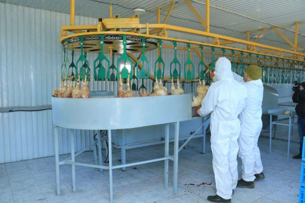 Приоритетом развития определена переработка