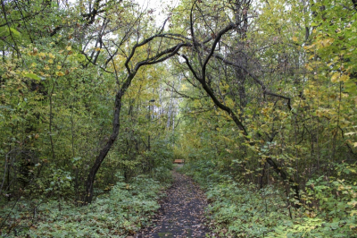 blog image