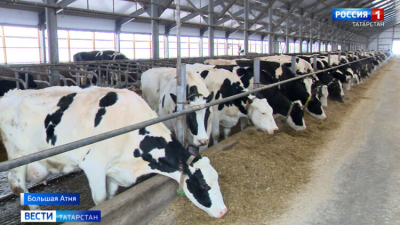 В Татарстане число сельхозкооперативов выросло в 1,5 раза