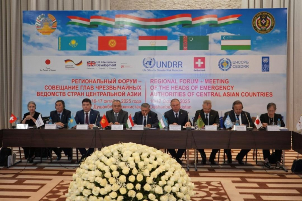 Казахстан укрепляет региональные связи в сфере гражданской защиты