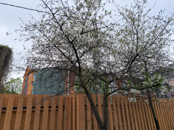 В Новосибирске ожидается резкое потепление до +19: дата