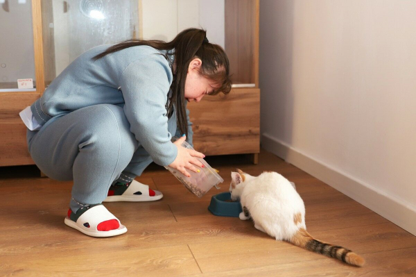 Мурлыкающий метрдотель и прыгучие хвостес