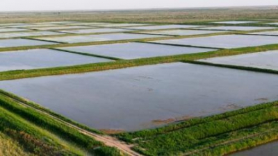 Потери воды на ирригационных сетях снизились до 193 млн кубометров в год - Минводы
