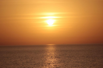 blog image