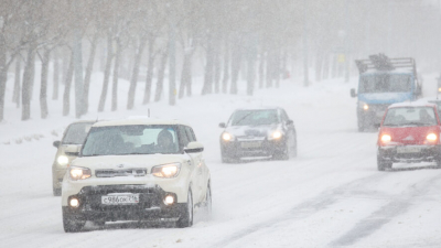 Метель с ухудшением видимости: водителей в Татарстане просят воздержаться от поездок на личных авто 28/01/2026 &ndash; Новости