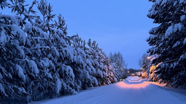 Долг в 30 миллионов: санаторий &laquo;Дальняя дача&raquo; под Кыштымом снова на грани банкротства