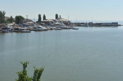 blog image