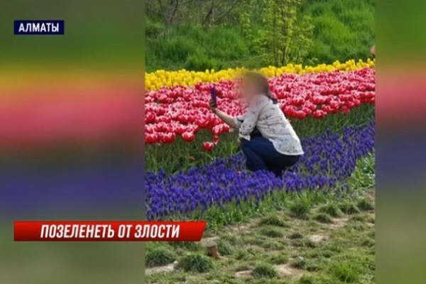Озеленители Алматы в шоке от вытоптанных цветочных клумб