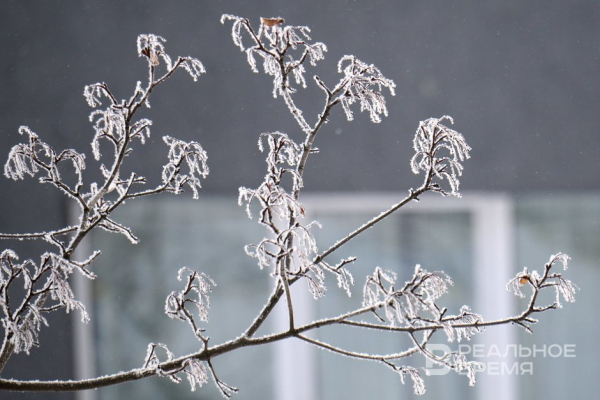 Сегодня в Татарстане ожидается до -3 градусов