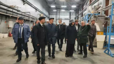 &laquo;Ход конем&raquo; Минуллиной: зачем глава АИР устроила бизнес-штурм в Тюлячах