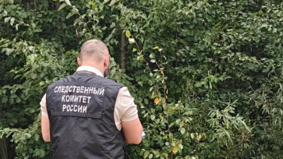Бил ножом в голову и лицо: рецидивист жестоко расправился со случайной попутчицей и выбросил тело 12/08/2026 &ndash; Новости