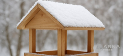 Акцию помощи зимующим птицам запустил биоцентр Семея