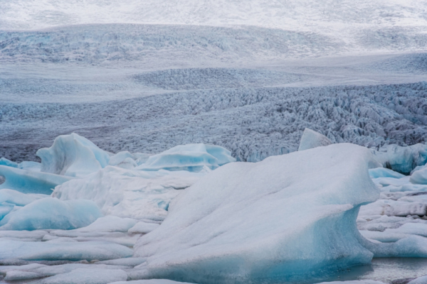 Академик ответил, опасны ли для человека вирусы из вечной мерзлоты