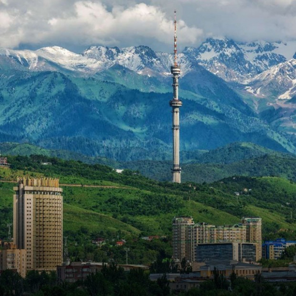 Пять любимых материалов редакции о городе