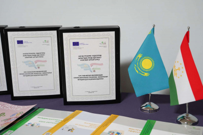 Проект Европейского Союза доверили казахстанскому Центру педагогического мастерства