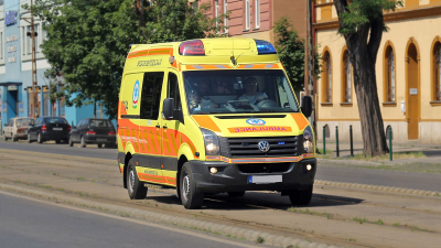 SCMP: в Гонконге дикий кабан ранил четырёх человек у метро и в жилом комплексе